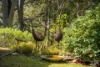 54 Tebbs Road, Narooma, NSW 2546-Image