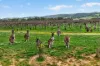 54 Verde Drive, Myponga, SA 5202-Image