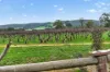 54 Verde Drive, Myponga, SA 5202-Image