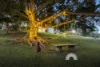 54 Wade 'Bonnie Neuk' Road, Bellmere, Qld 4510-Image