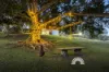 54 Wade Road, Bellmere, Qld 4510-Image