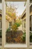 54 Webster Street, Nedlands, WA 6009-Image