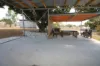 54 York Street, Queenton, Qld 4820-Image