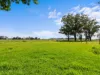540 Grimmes Road, Denison, Vic 3858-Image