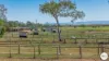 540 Kinchant Dam Road, Kinchant Dam, Qld 4741-Image