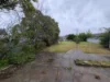 541 Hague Street, Lavington, NSW 2641-Image