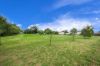 542, Boneo VIC 3939-Image