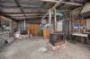542, Boneo VIC 3939-Image