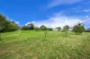 542, Boneo VIC 3939-Image