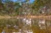 543, Blaxlands Ridge NSW 2758-Image