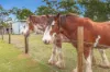 543 Blaxlands Ridge Road, Blaxlands Ridge, NSW 2758-Image