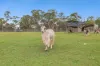 543 Blaxlands Ridge Road, Blaxlands Ridge, NSW 2758-Image