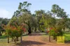 544 Copley-Dale Road, Gidgegannup, WA 6083