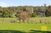 544 Copley-Dale Road, Gidgegannup, WA 6083-Image
