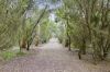 545 Dangers Road, Gherang, Vic 3240-Image