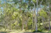 545 Mulwaree Drive, Tallong, NSW 2579-Image