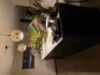 546 Upper Brookfield Rd, Upper Brookfield, Qld 4069-Image