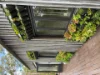 546 Upper Brookfield Rd, Upper Brookfield, Qld 4069-Image