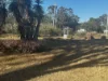 548 Karrabin Rosewood Road, Walloon, Qld 4306