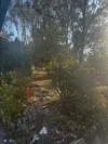 548 Karrabin Rosewood Road, Walloon, Qld 4306-Image