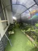 54A Barinya St, Barooga, NSW 3644-Image