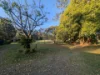54A London Creek Road, Peachester QLD 4519-Image