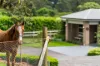 54A North Street, Robertson, NSW 2577-Image