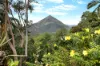 55-61  Hickey Close, Gordonvale, Qld 4865-Image