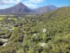 55-61  Hickey Close, Gordonvale, Qld 4865-Image