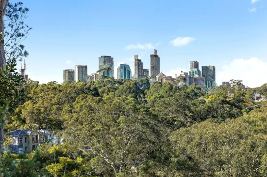 55 Abingdon Road, Roseville, NSW 2069