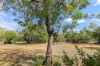 55 Acacia Road, Humpty Doo, NT 0836-Image