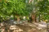 55 Ashley Drive, Kelmscott, WA 6111-Image
