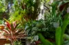55 Banoon Drive, Wynnum, Qld 4178-Image