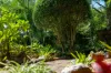 55 Banoon Drive, Wynnum, Qld 4178-Image