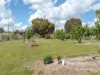 55 Bendemeer Street, Bundarra, NSW 2359-Image