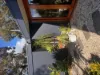 55 Caraar Creek Lane, Mornington, Vic 3931-Image
