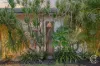 55 Chadwick Street, Hilton, WA 6163-Image