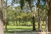 55 Clyde Street, Mollymook, NSW 2539-Image