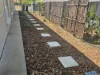 55 Corypha Circuit, Durack, NT 0830-Image