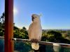55 Crest Drive, Currumbin QLD 4223-Image