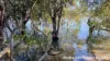 55 Crest Haven, Lamb Island, Qld 4184-Image