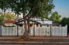 55 Dudley Avenue, Daw Park, SA 5041-Image