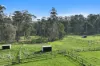 55 Fisher Road, Drouin West, Vic 3818-Image