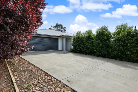 55 Flinders Street, Renmark, SA 5341