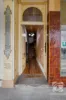 55 Ford Street, Beechworth, Vic 3747-Image