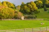 55 Fountaindale Road, Robertson, NSW 2577-Image