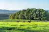 55 Fountaindale Road, Robertson, NSW 2577-Image