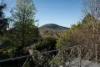 55 Gellibrand Street, Campbell ACT 2612-Image