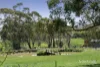 55 Hyne Street, Lilydale, Vic 3140-Image