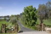 55 Hyne Street, Lilydale, Vic 3140-Image